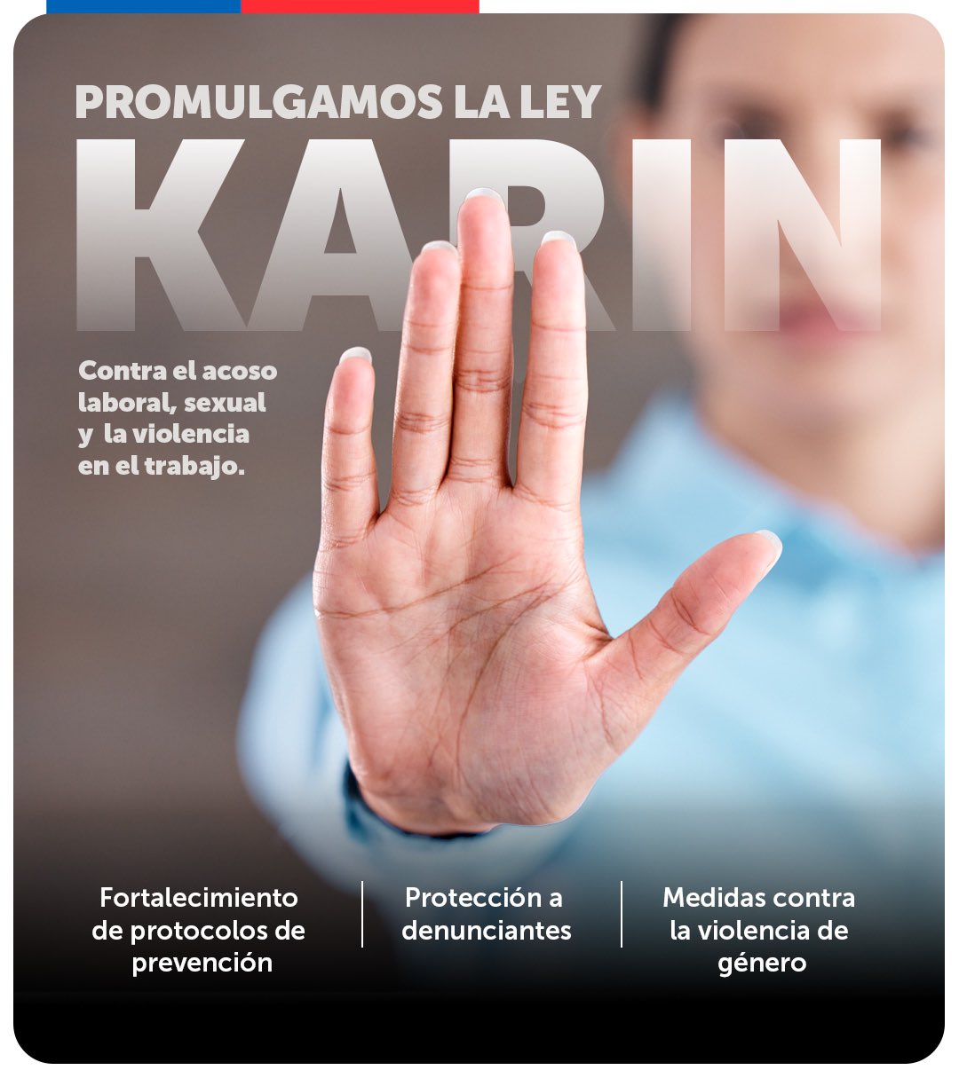 Ley Karin