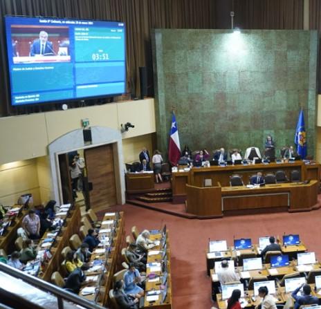 snajdv cámara de dip