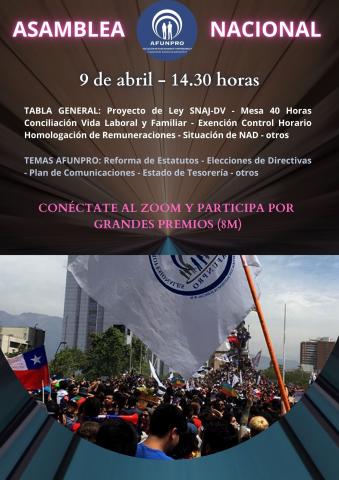 afiche asamblea nacional 2
