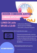 snaj comisión