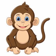 monkey